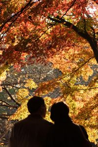 Red Leaves Couple by Masahiro Hayata
