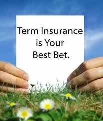 Term Life Insurance