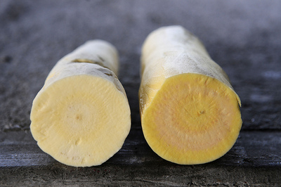 cassava root