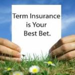 Text "Term insurance is your best bet"