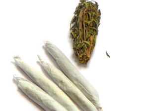 medical marijuana and insurance - Canada - featured