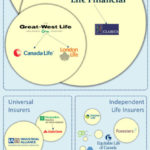 Cadian Life Insurance – Infographic – Who Owns Whom